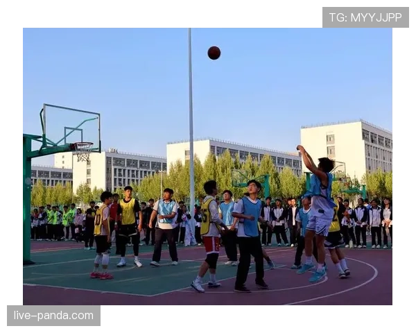 篮球比赛如何正式开始?比赛开始规则全解析 篮球比赛如何正式开始?比赛开始规则全解析